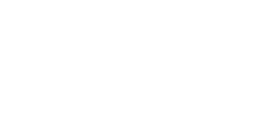 Camo Logo