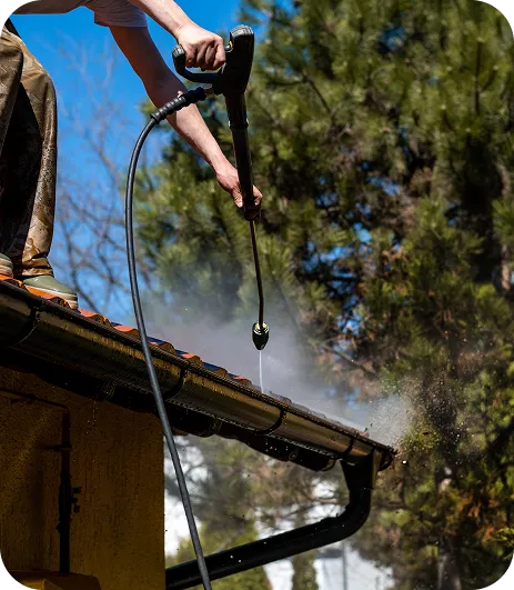 Gutter Cleaning