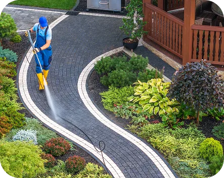 Driveway Cleaning