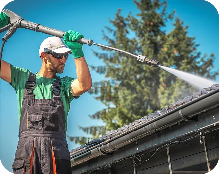 Roof Cleaning