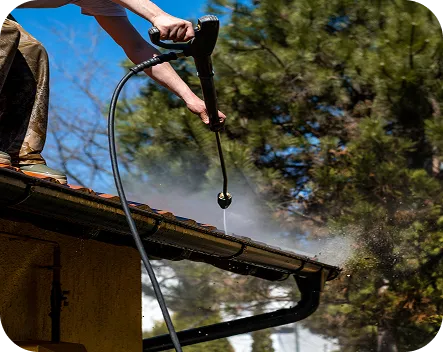 Gutter Cleaning