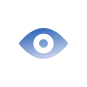 Vision icon